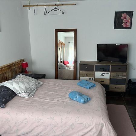 Proprietaire Prive Bed & Breakfast Carcassonne Eksteriør bilde